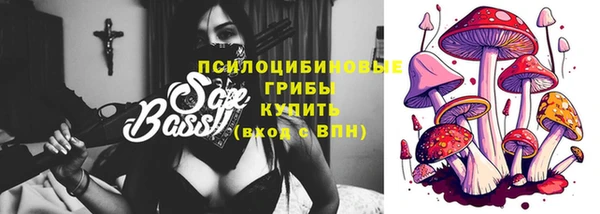 прущая мука Инсар