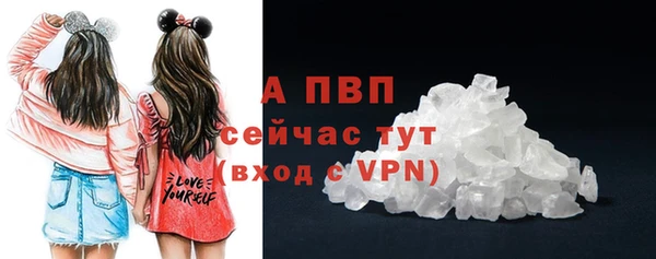 амф Инта