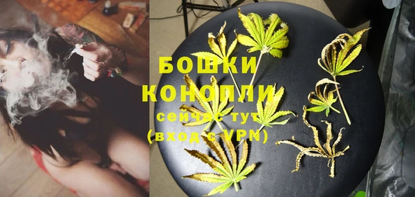 амф Инта